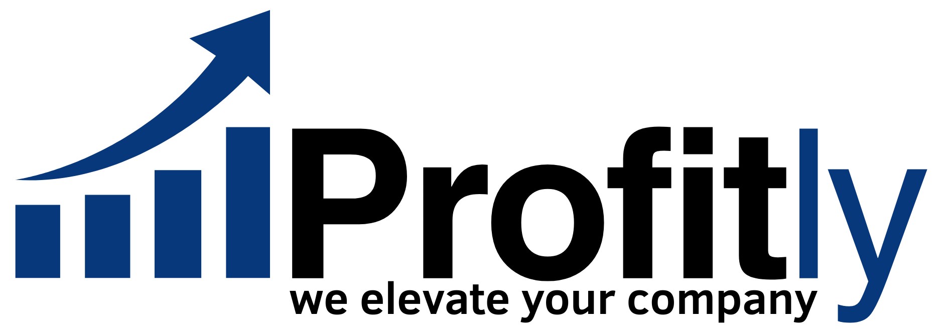 Profitly, we elevate your company